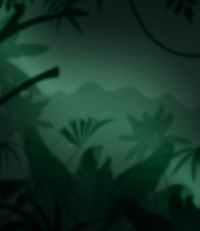 bonus card background