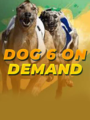 Dog 6 on Demand